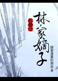 红楼之林家嫡子林珩