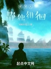 夜深人静独徘徊是什么歌