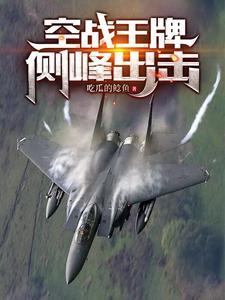 空军王牌旅