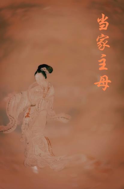 重生之当家主母 姀锡
