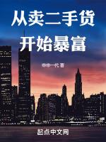 从卖二手货开始暴富笔趣阁