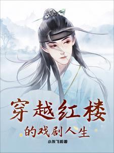 穿越红楼 尴尬