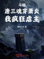 唐三穿越斗破的