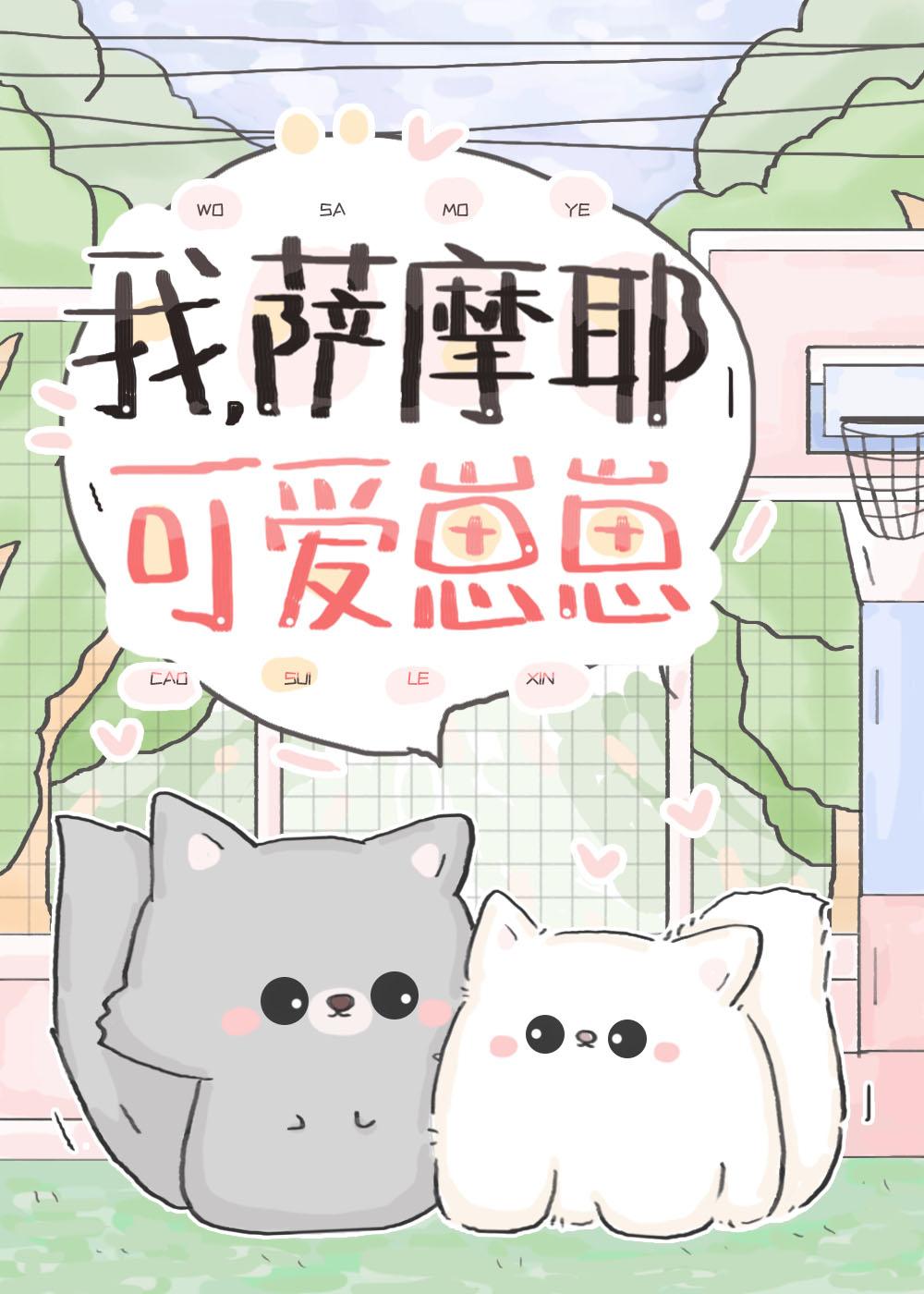 我的萨摩耶可爱崽崽