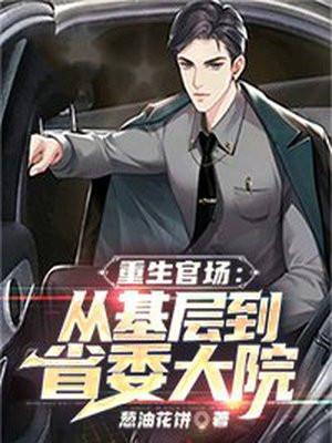 重生官场从基层到省委大院TXT