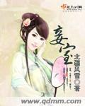 苏轼的妻子和妾室