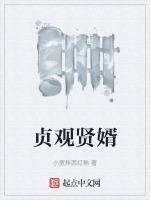 贞观贤王百度百科人物