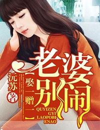 娶一赠一老婆别闹全文83