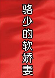 骆少的软娇妻H丑小鸭