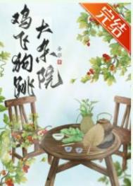 鸡飞狗跳大杂院金彩免费阅读