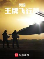 穿越民国飞行员