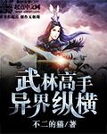 武林高手穿越到异界的