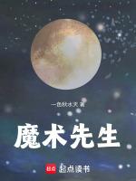 魔术先生mv