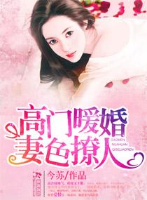 暖婚甜妻高冷男神强势宠全文免费阅读