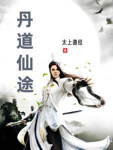 丹道仙途主角是谁