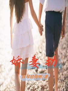 婚途裂痕免费阅读