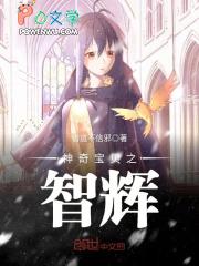 神奇宝贝之智辉第31章