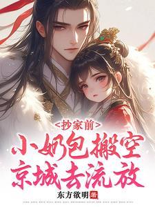 小奶包搬空京城去流放全文阅