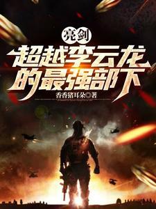 亮剑从小兵到旅长TXT
