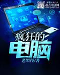 疯狂的电脑城电影