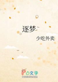 逐梦亚军组合