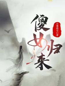 傻女归来连慧结局如何