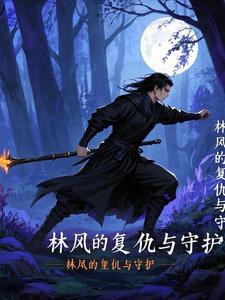 关于林风