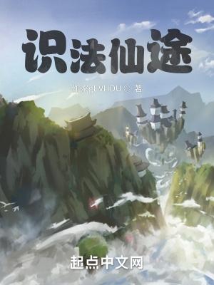 识法仙途全本TXT