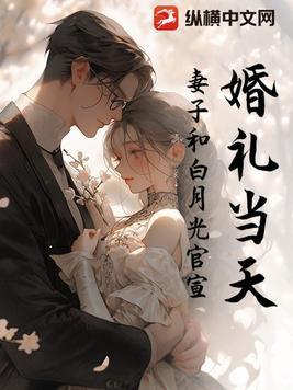 婚礼当天妻子陪白月光海岛度假
