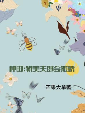 小夫郎种田空间文