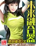 融合器价格