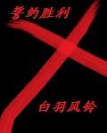 誓约胜利之剑鞘