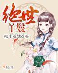 绝世丫鬟 枯木道姑
