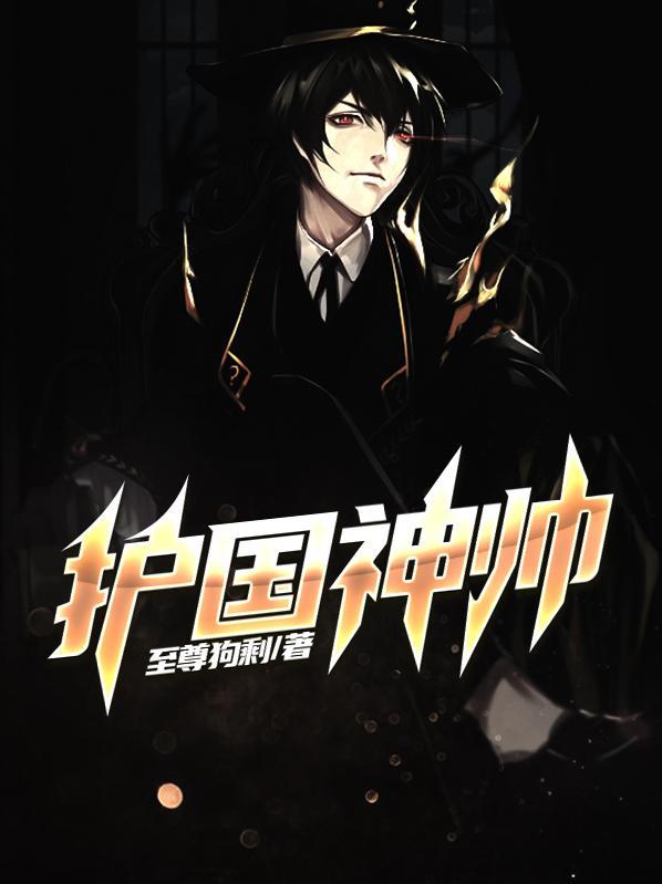 护国神帅最新章节更新
