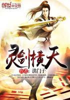 灵剑天流套装