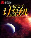 宇宙是一个程序吗