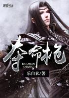 夺命枪火电影2006