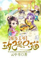 报告王爷王妃是只猫第一集