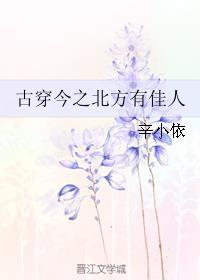 北方有佳人求下联