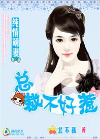 纯情总裁狂宠妻漫画