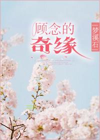 顾念的奇缘大结局