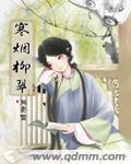 寒烟柳江月
