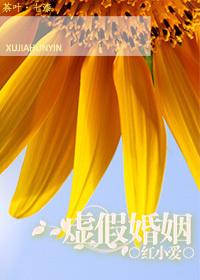 虚假手段骗取结婚证法律规定