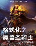 魔兽圣骑士能拿什么武器