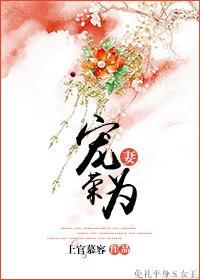 宠妻为荣上官慕容晋江