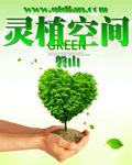 灵植空间农家傻女