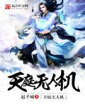 越南无人机表演