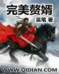 完美女婿完整