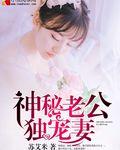 神秘老公宠妻要给力免费