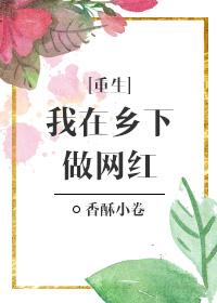 我在乡村做直播
